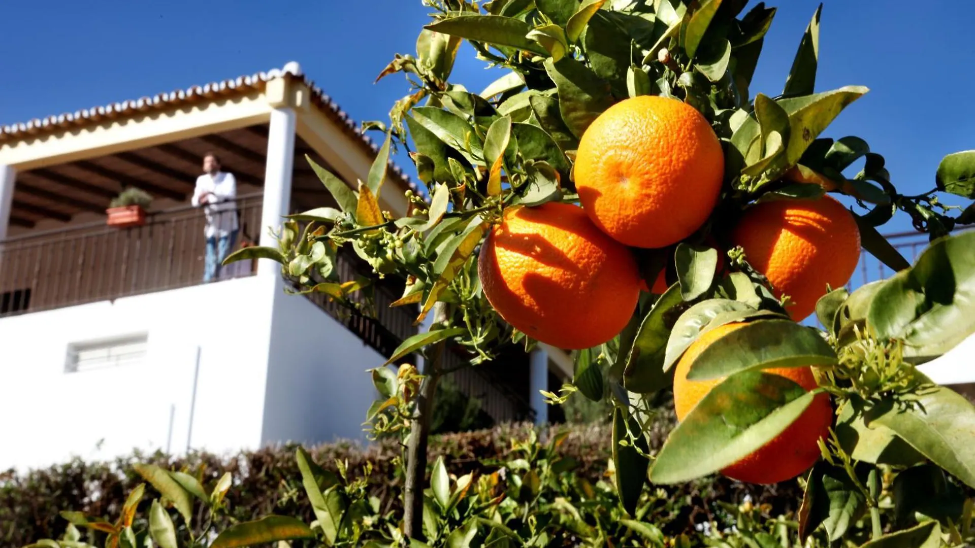 Herdade Da Corte Tavira Country house